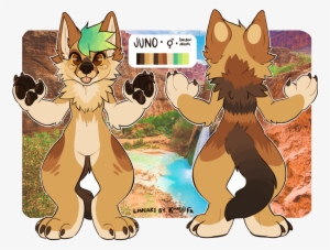 Juno The Jackal - Havasu Falls