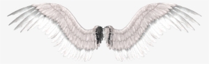 Stickers Stickerstumblrs Tumblr Efectos Wings - Realistic Angel Wings Painting
