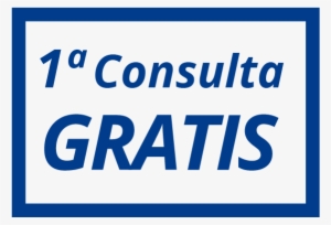 Promo Primera Consulta Gratuita - Rational Guide To It Consulting
