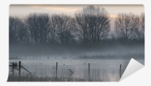 Panorama Landscape Of Lake In Mist With Sun Glow At