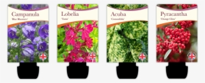 Plant Pot Labels