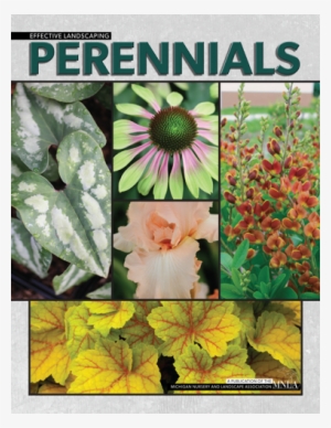 Perennials & Woody Ornamentals Booklets Available - Mountain Garland