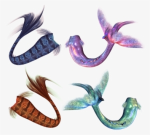 Mermaid, Mermaids, Tail, Fantasy - Mermaid