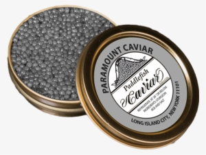Paramount Caviar - Eye Shadow