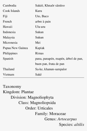 Common Names Of Breadfruit Plant Species Country Common - Common Name And Special Name