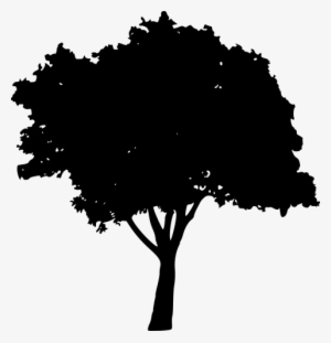 Dead Tree Silhouette Png Toppng - Peach Tree Silhouette