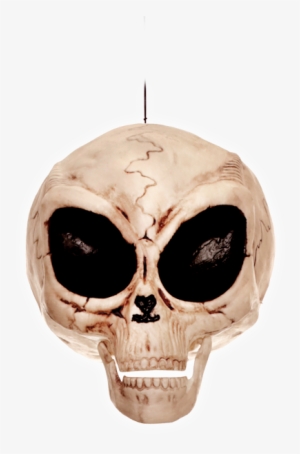 Alien Skull - Crazy Bonez Alien Skull By Crazy Bonez