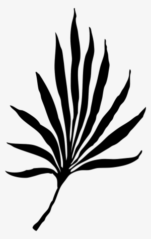 Palm Vector Graphics - Palm Frond Clip Art