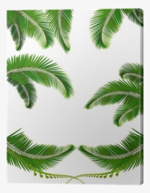 Set Of Backgrounds With Palm Leaves - Sfondi Con Le Foglie