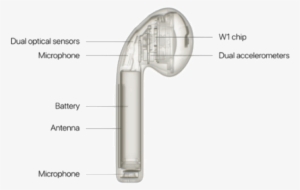 Apple Airpods Transparent - Diagram