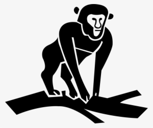 Vector Illustration Of Primate Monkey Ape On Tree Branch