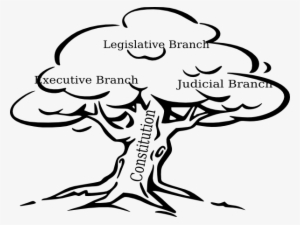Three Small Birds Sitting On Branch - Three Branches Of Government Clipart