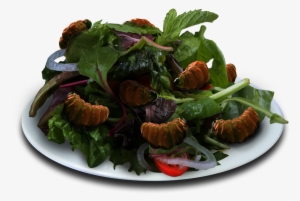Insects - Spinach Salad
