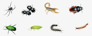 Insects, Big Format - Proteomics Of Scorpion Venom: Using 1d Sds Page