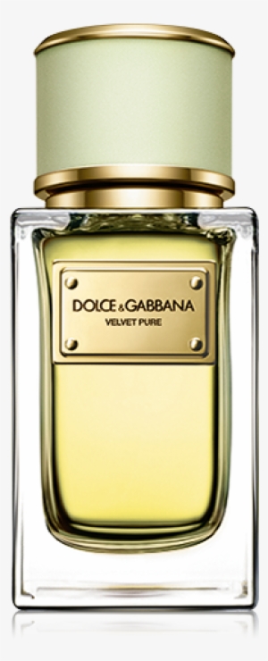 Velvet Pure, Fresh Floral Perfume For Women - Dolce Gabbana Perfumes Velvet