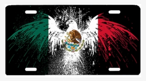 Mexican - Mexican Flag Iphone 6 Plus Case