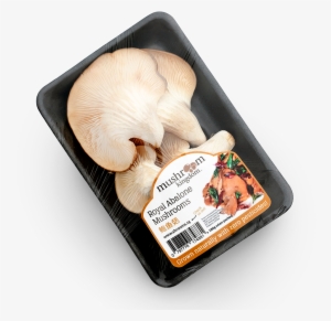 Order Yours Now - Oyster Mushroom