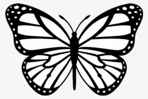 Butterfly With Dots Tattoo - Black And White Butterfly
