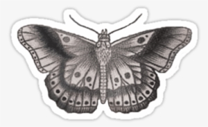 Harry Styles' Butterfly Tattoo By Bohemianmermaid - Tatuajes De Harry Styles