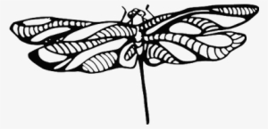 Dragonfly Tattoo - Tattoo