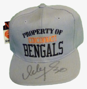 Bengals Fitted Hat
