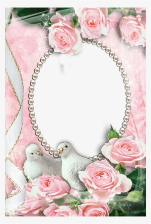 Pink Transparent Frame With Doves And Roses Rose Frame, - Frames With Doves