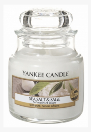 Classic Small Jar Sea Salt & Sage Candle 104 G From - Yankee Candle Sea Salt & Sage Classic Small Jar