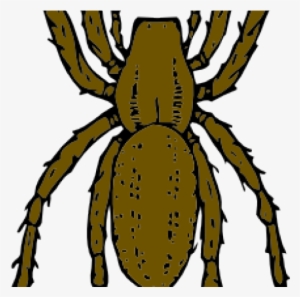Spider Clipart Large Spider - Brown Recluse Spider