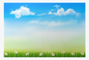 Summer Nature Background With Green Grass And Sky - Grass