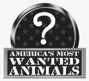 Rp Americas Most Wanted Animals - Number
