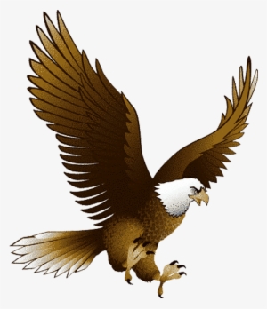 Clip Art Royalty Free Library Baby Eagle Clipart - Eagle Png