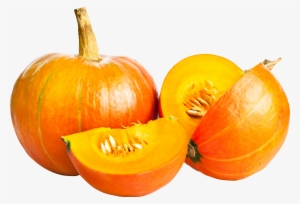 pumpkin png image - pumpkin png