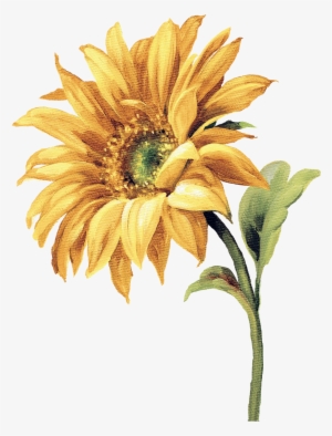 Watercolor Sunflower, Watercolor Flowers, Watercolor - Sun Flower Painting Png