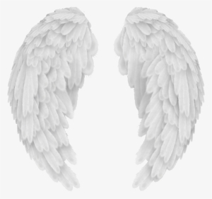White Wings Png Picture - Baby Angel Wings Png