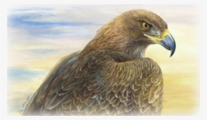 Lisa Mclaughlin's Detailed Wildlife Watercolors - Desert Golden Eagle Journal