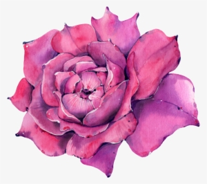 This Graphics Is A Rose Png Transparent About Watercolor,purple - Watercolor Painting