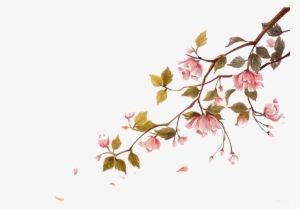 Blossom Watercolor Painting Ci - Cherry Blossom Watercolor Png