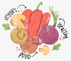 Vector Vegetables Watercolor - Food