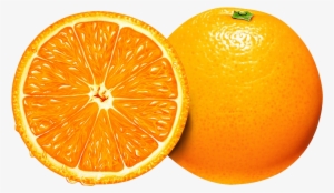 Orange Dessin Couleur