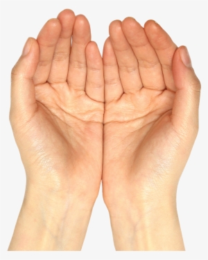 Download Amazing High-quality Latest Png Images Transparent - Hands Png
