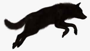 Black Wolf Png - Wolf