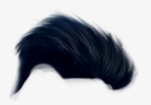 Hair Png By Nsb Pictures - Hair Png Hd Boy