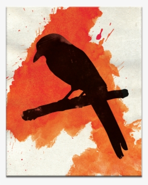 Dark Wings Dark Words