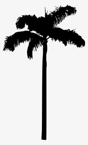 Free Download - Palm Tree Silhouette Transparent Background