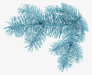 Christmas-tree Branch - Christmas Tree Branch Stamp