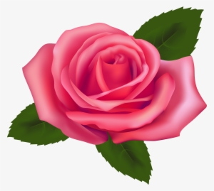 Beautiful Pink Rose Png Clipart - Clipart Of Pink Rose