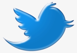 Twitter Bird Logo Png Transparent Background Vector - Twitter Bird Logo Transparent