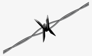 Barbed Wire Ii - Barb Wire Png