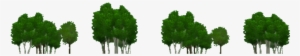 temperate forest trees background 2 - forest background trees png