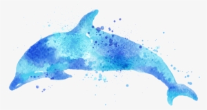 Report Abuse - Watercolor Dolphin Png